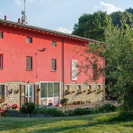 Al Sasseto B&B Montagnana  Ngoại thất bức ảnh